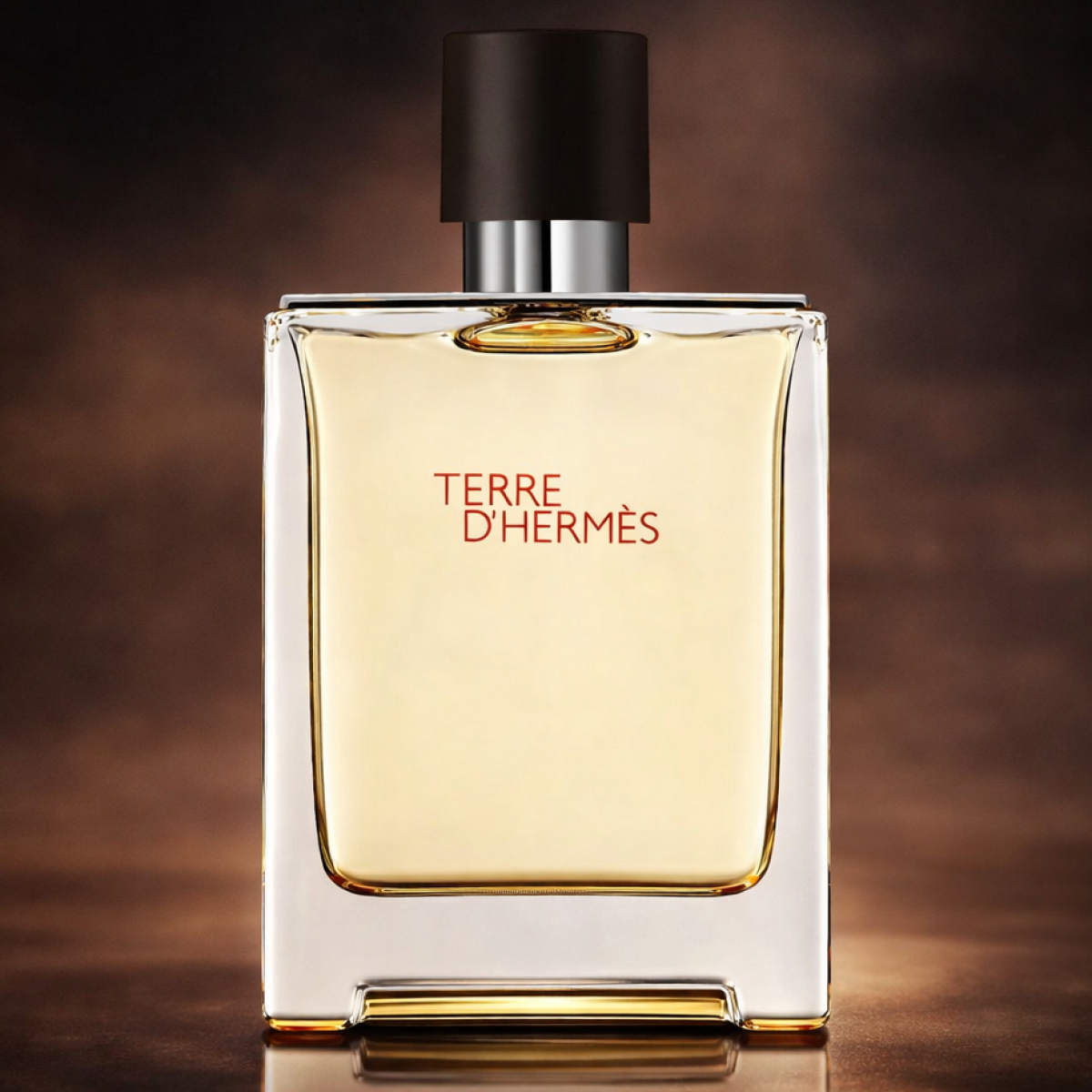 100ml Hermès - Terre D'hermès - Eau de Toilette pour homme