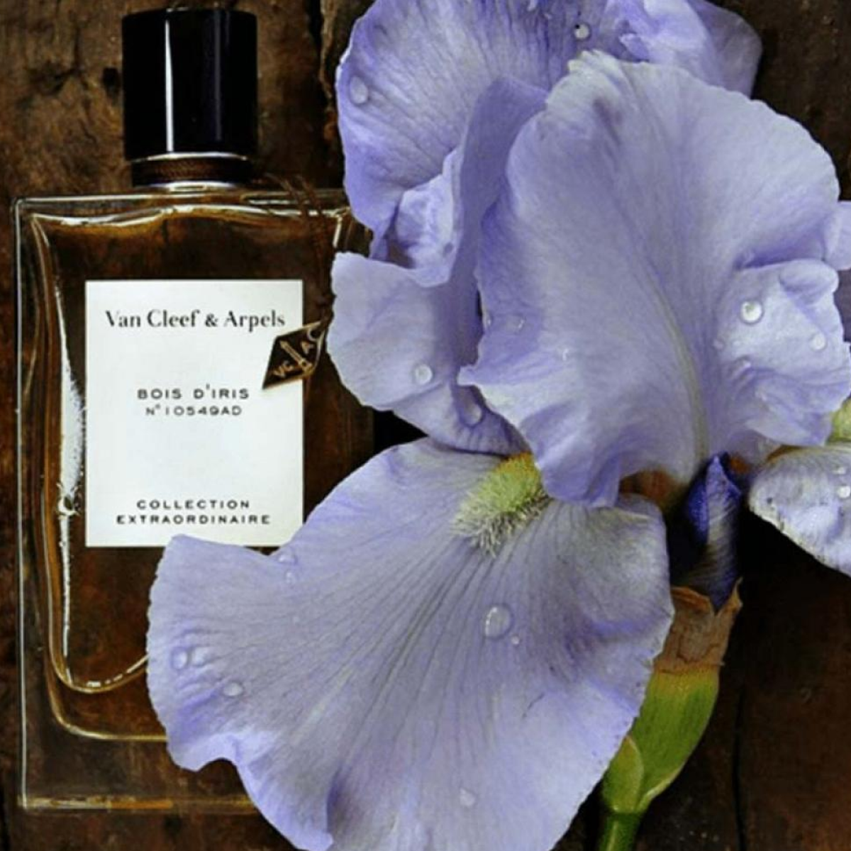 75ml Van Cleef & Arpels - Bois D'iris Collection Extraordinaire - Eau de Parfum Mixte