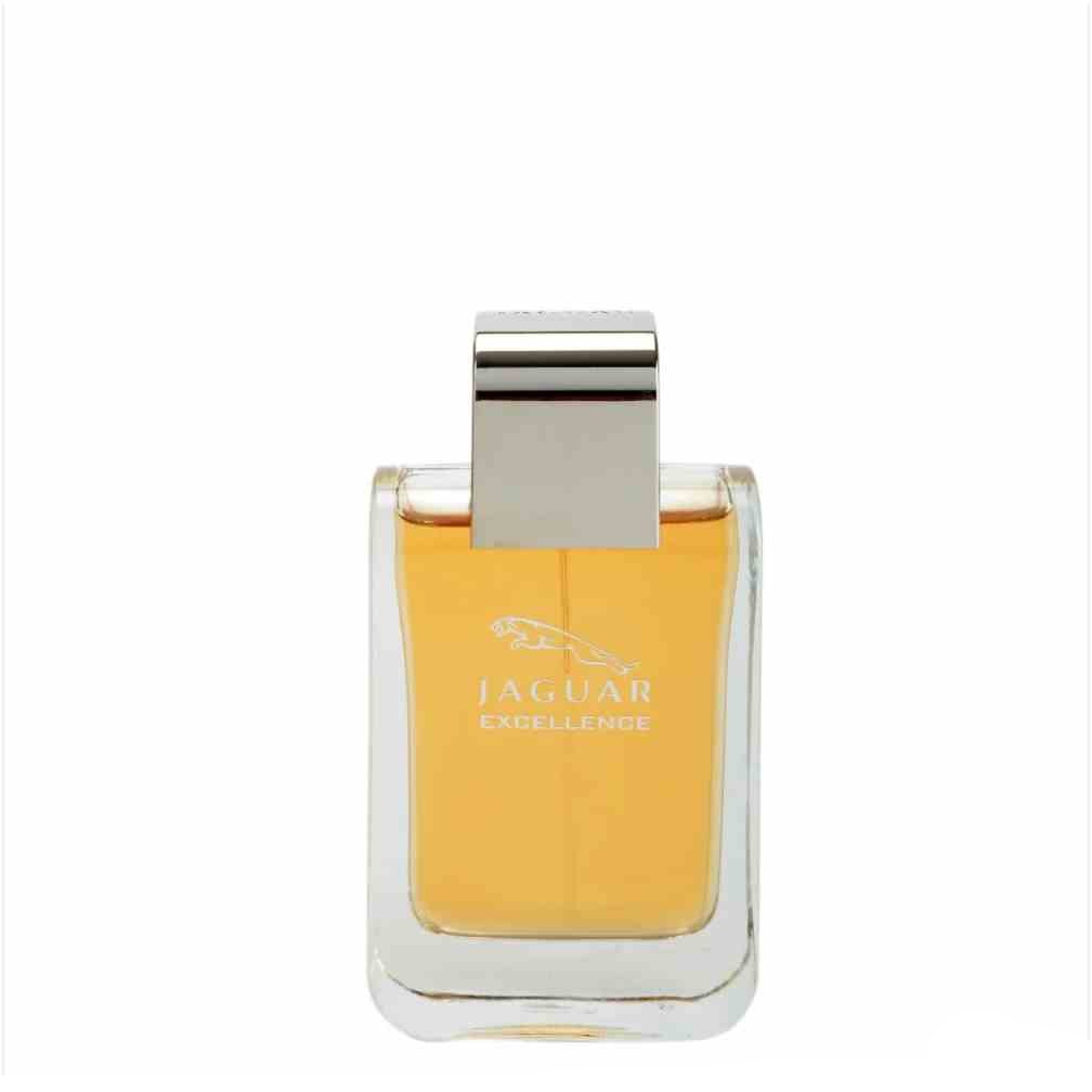 Parfums Excellence by Jaguar per uomo 100 ml
