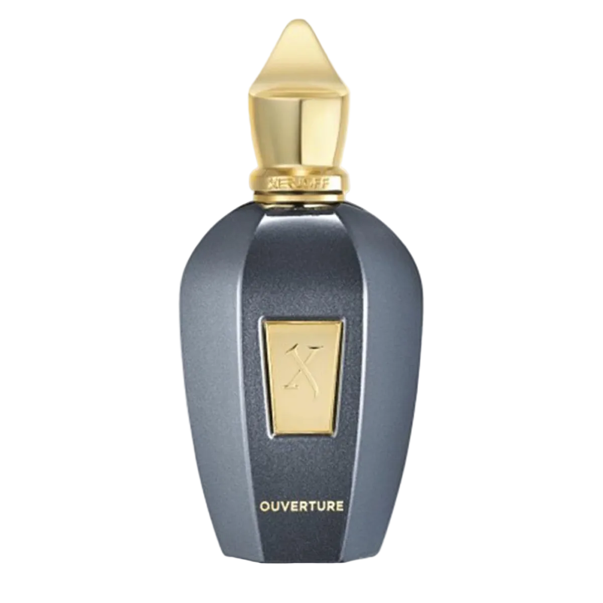 100ml Xerjoff - Ouverture - Eau de Parfum Mixte