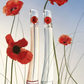 Senza scatola Kenzo - Flower By Kenzo - Eau de Parfum da Donna