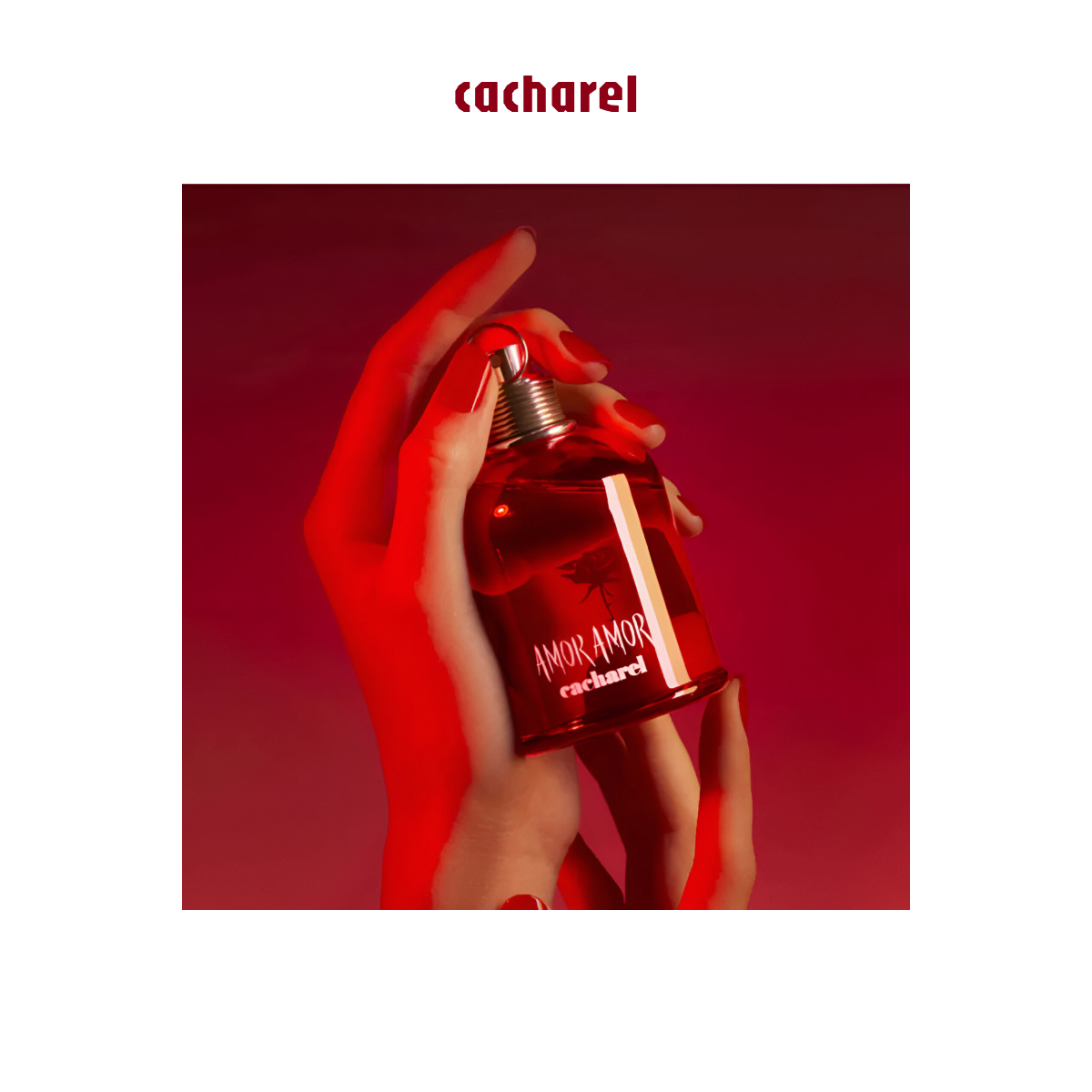50 ml Cacharel - Amor Amor - Eau de Toilette pour femme