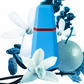 Cacharel - Loulou - Eau de Parfum da Donna