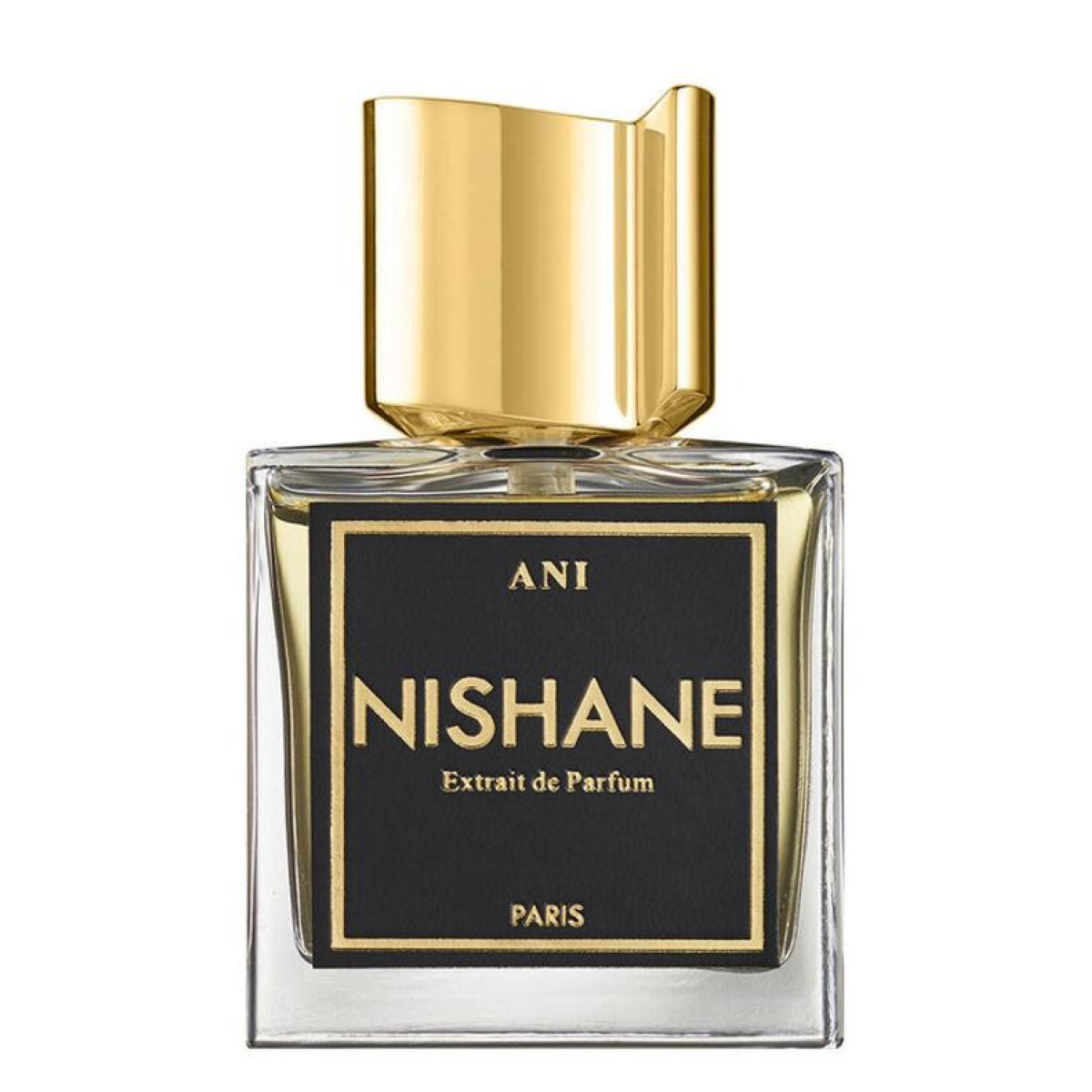 100ml Nishane - Ani - Extrait de Parfum mixte