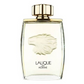 Lalique - da Uomo Lion - Eau de Parfum