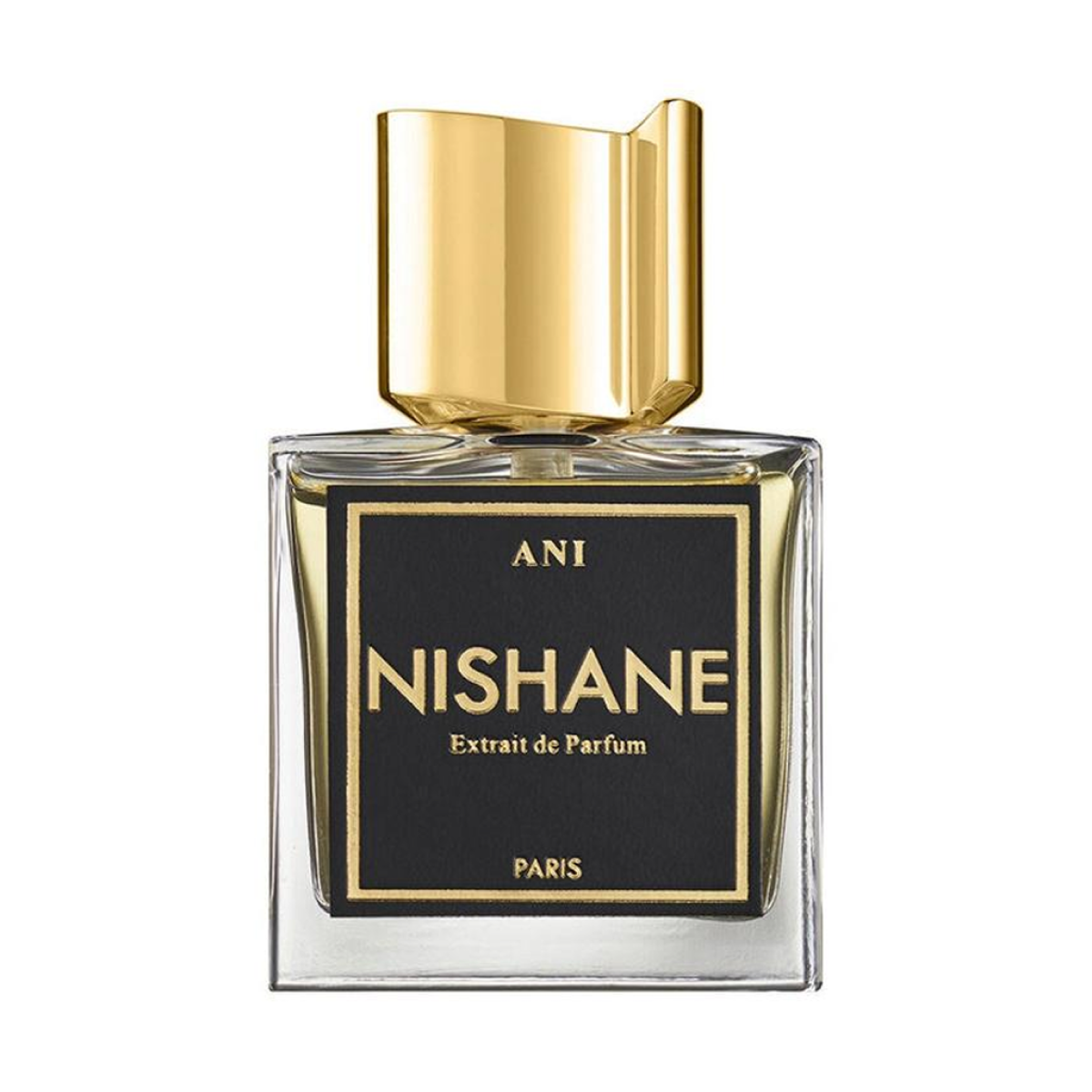 100ml Nishane - Ani - Extrait de Parfum mixte
