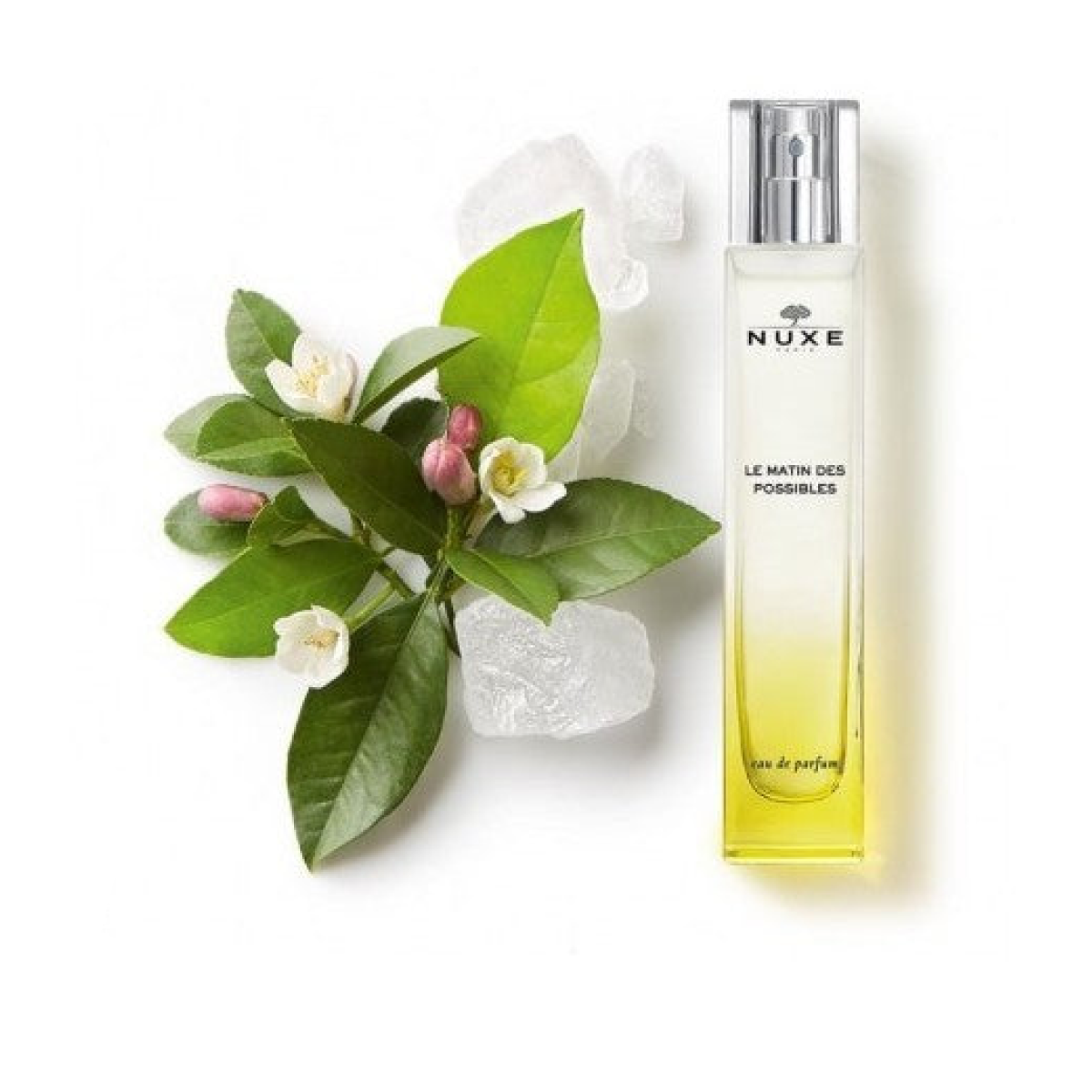 50 ml Nuxe - Le Matin Des Possibles - Eau de Parfum pour femme