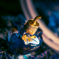 50 ml Lolita Lempicka - Le Parfum - Eau de Parfum pour femme