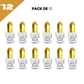 12*5ml el Nabil - Musc Fruity - Profumo concentrato Senza Alcool