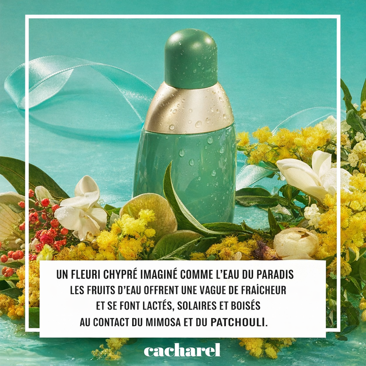 50 ml Cacharel - Eden - Eau de Parfum pour femme