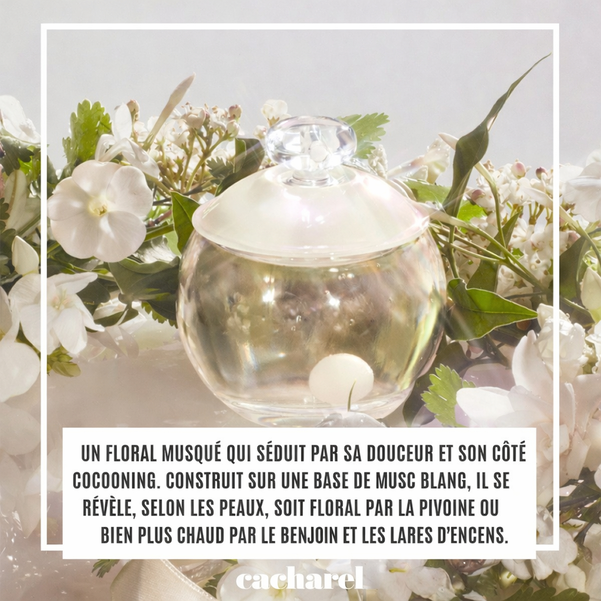 100 ml Cacharel - Noa - Eau de Toilette pour femme