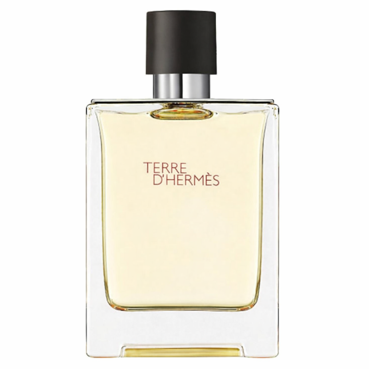 100ml Hermès - Terre D'hermès - Eau de Toilette pour homme