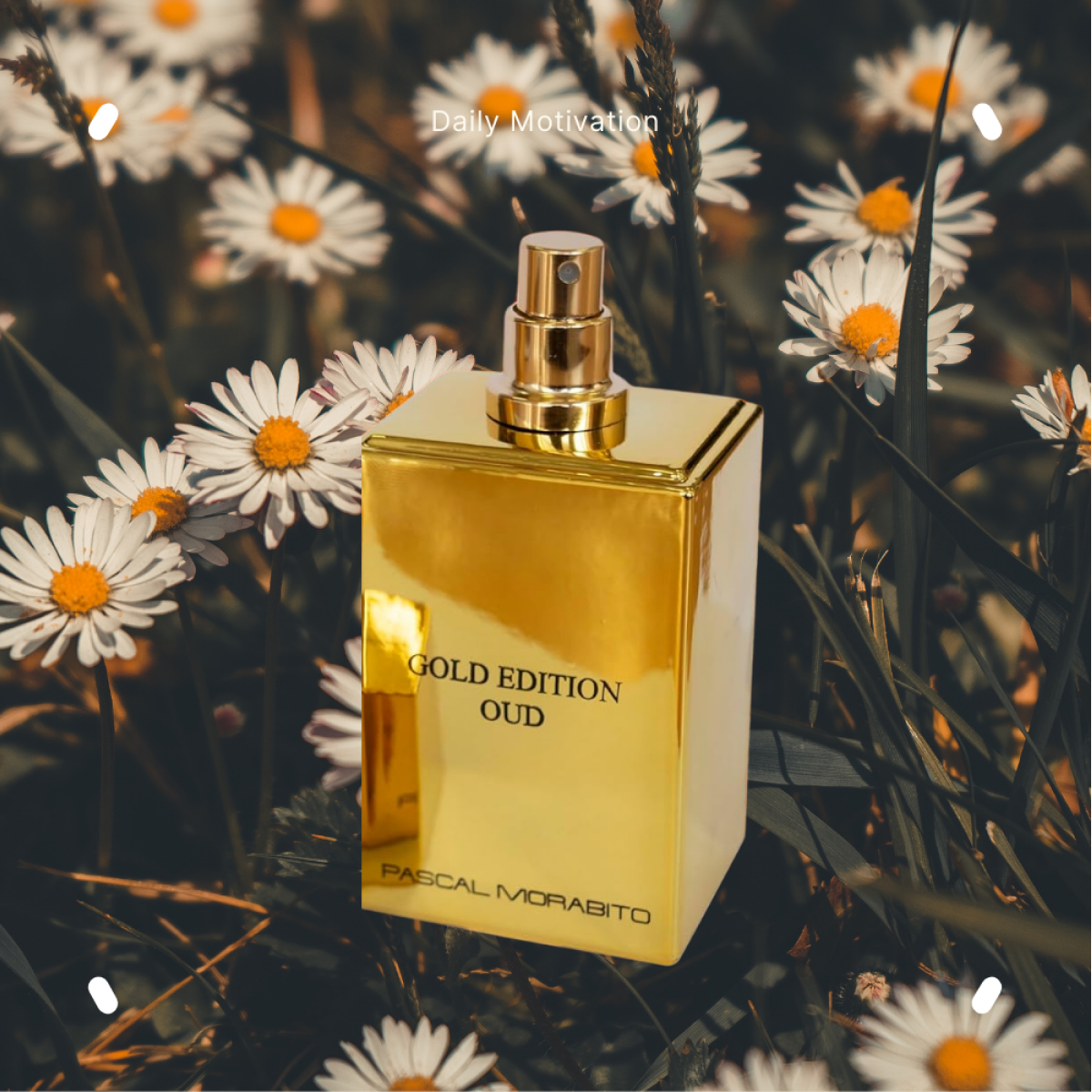 Pascal Morabito - Gold Edition Oud - Eau de Toilette da Uomo