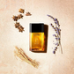 50 ml Azzaro - Azzaro pour homme - Eau de Toilette pour homme