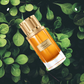 80 ml Chopard - Oud Malaki - Eau de Parfum pour homme