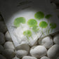 Angle : Gros plan serré sur la moitié inférieure du sachet.  Scène : Focus sur les illustrations de feuilles vertes et la fenêtre transparente. Le sachet est posé sur un lit de galets de rivière blancs et lisses, encore humides. La lumière révèle le contraste entre la rondeur minérale des galets et le pliage géométrique du masque en tissu gorgé de liquide à l'intérieur du sachet.  Décor & Lumière : Ambiance pénombre douce avec un spot ciblé sur le centre du produit pour faire briller le sérum en transparenc