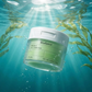 Biodance - Sea Kelp - Gel Tonico Viso Pad