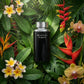 Ted Lapidus - Black Soul - Eau de Toilette da Uomo