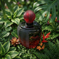 Ted Lapidus - Rumba Passion - Eau de Toilette da Donna